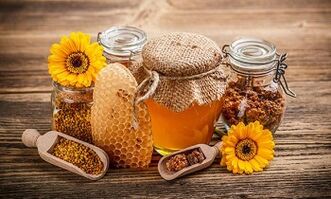 Apitherapie zur Behandlung von Krampfadern in den Beinen